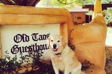 Old Taos Guesthouse B&b
