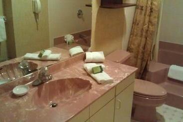 استراحتگاه Roosevelt Inn & Suites Saratoga Springs