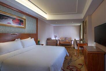 Vienna Hotel Mix City