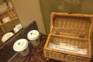 هتل Greentree Inn Beijing Anzhen Bird S Nest Business