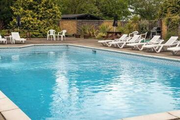 11 Tan Y Coed Woodland Lodge