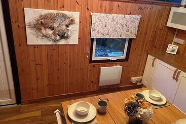 11 Tan Y Coed Woodland Lodge