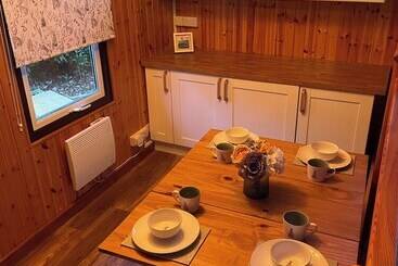 11 Tan Y Coed Woodland Lodge