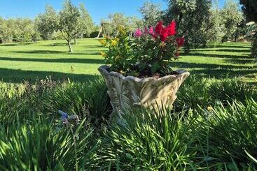 هتل روستایی Agriturismo Il Migliarino