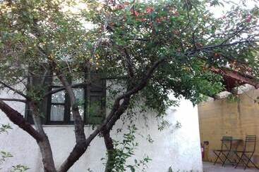 تختخواب و صبحانه Ikarian Centre