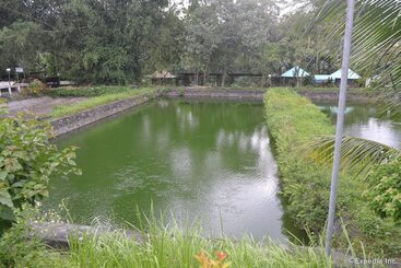 Dolores Farm Resort