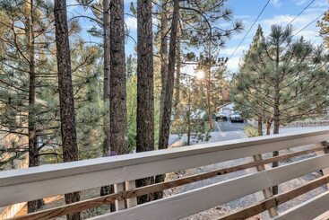Fox & Bears Retreat #2190