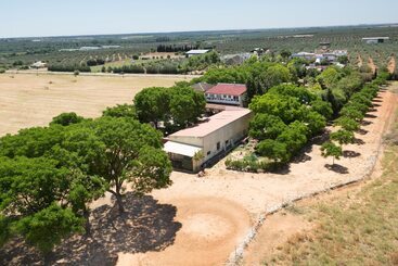هتل Cerros Bravo De Donana