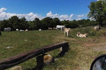 هتل Agriturismo Poggio Della Capanna