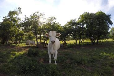 هتل Agriturismo Poggio Della Capanna