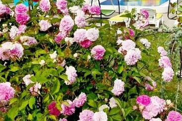 هتل Iulia Resort