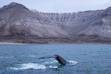 هتل Barentsburg