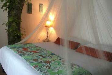 Ecovergel Hotel Riviera Maya
