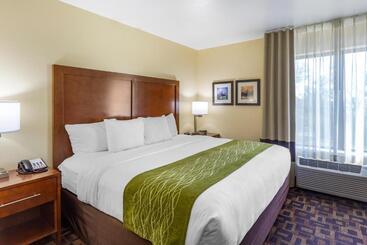 호텔 Comfort Inn & Suites North Aurora   Naperville