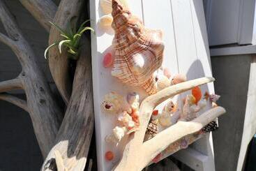 هاستل Enoshima Guest House 134