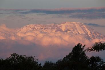 هتل Ngare Sero Mountain Lodge