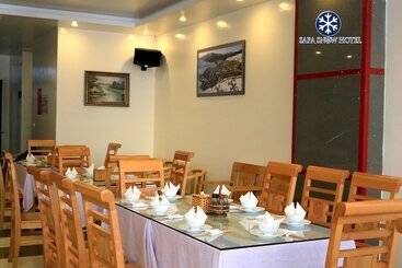 هتل Sapa Snow