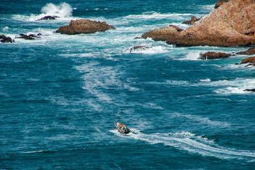 هتل The Mount Knysna