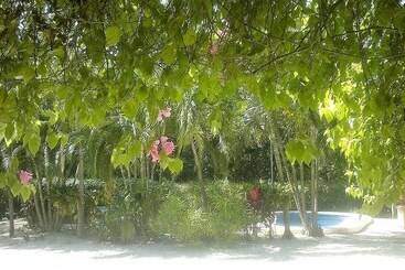 هتل El Ramal