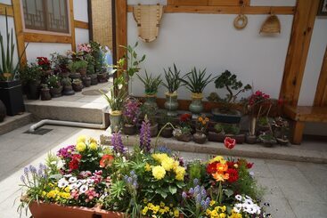 پانسیون Dowonjeong Healing House
