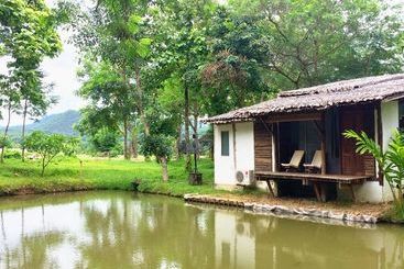酒店 Pai Hillside Resort