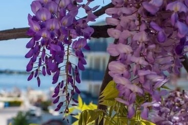 تختخواب و صبحانه Albergo Villa Lucia
