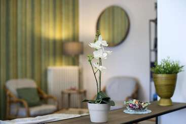 تختخواب و صبحانه Albergo Villa Lucia