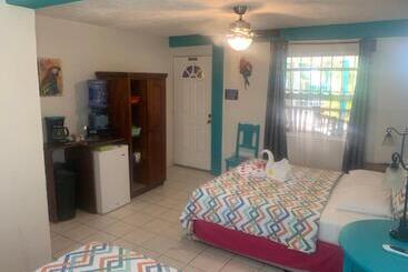هتل All Seasons Belize
