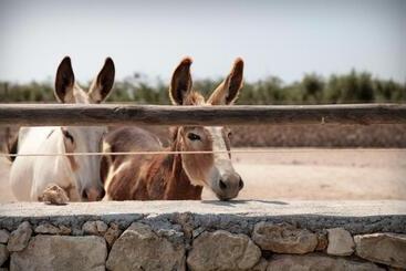 Masseria Prosperi