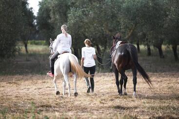Masseria Prosperi