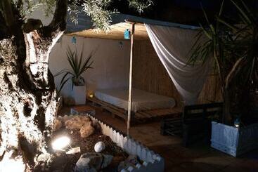Nwt Paradise Urban Hostel