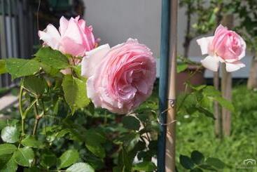 هتل Kreuzstein Bed&breakfast
