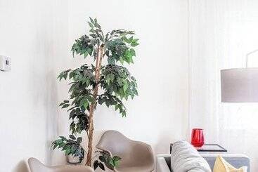 بنسيون Wells Whole House