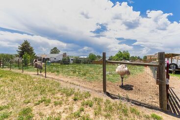 Stylish Aurora Farmhouse W/ Deck, Animals On Site!
