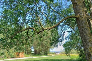 The Botanist   Luxury Cabin With Hot Tub Near York