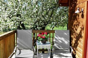 تختخواب و صبحانه The Loubird Inn