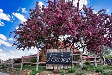 تختخواب و صبحانه The Loubird Inn