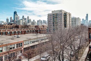 تختخواب و صبحانه The Sono Chicago