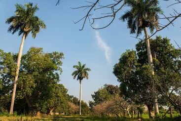 تختخواب و صبحانه Hostal Doña Amalia Cuba