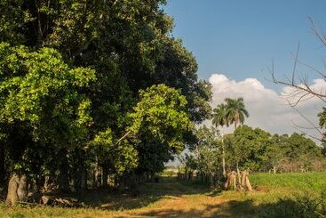تختخواب و صبحانه Hostal Doña Amalia Cuba