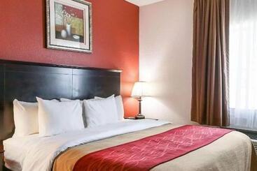 هتل Quality Inn Kingsville Hwy 77