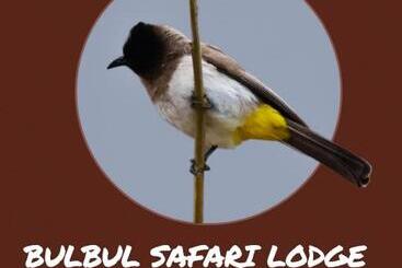 پانسیون Bulbul Safaris Lodge