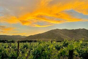هتل Bruma Wine Resort