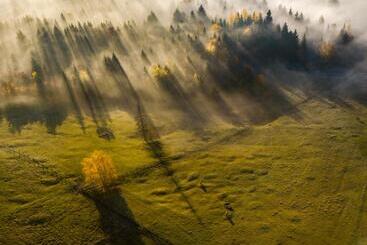 پانسیون Bucovina Exclusiv