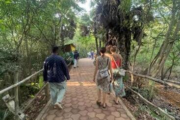 Hostel Exp, Auroville   A Rural Retreat Experience