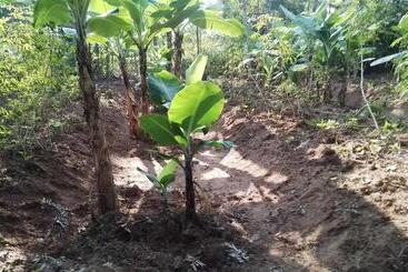 هتل Ikuo Farm