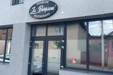 هتل La Borsanu