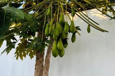 پانسیون Hospedaria Lc Sanjuquila