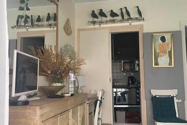 پانسیون Studio With Terrace & Rooftop Pool In Promenade Des Anglais