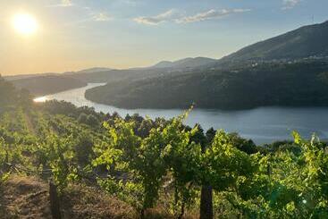 پانسیون Douro House 222